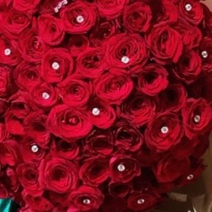 Meet your Posher, Fernanda